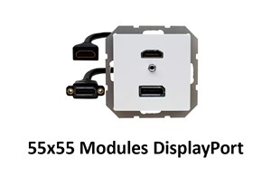 55x55 Module mit DisplayPort